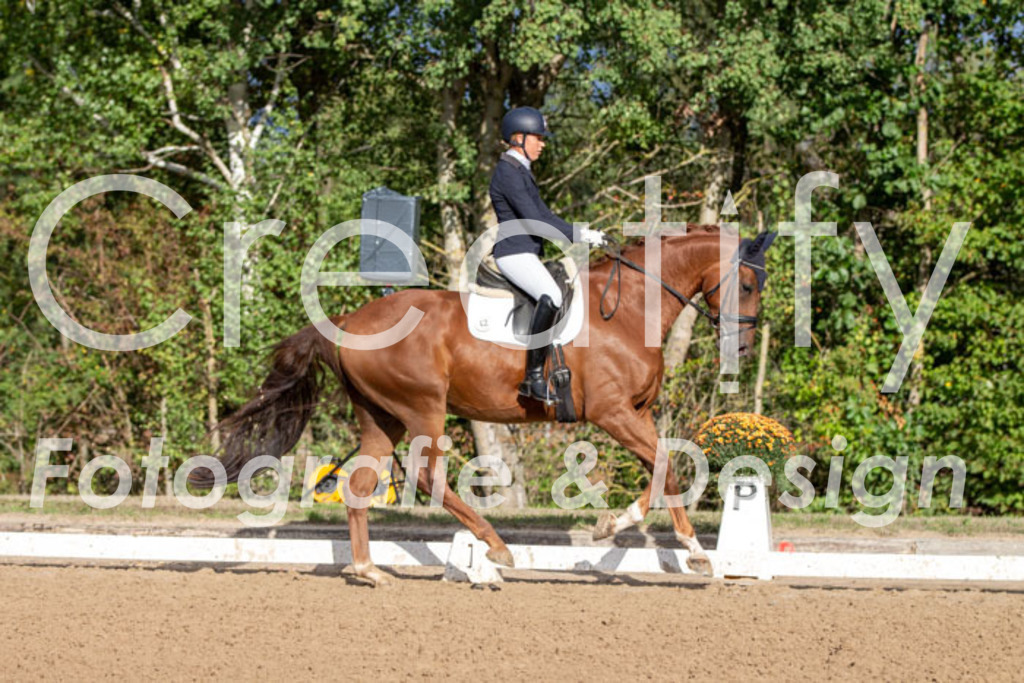 IMG_4761 | Creatify Fotografie