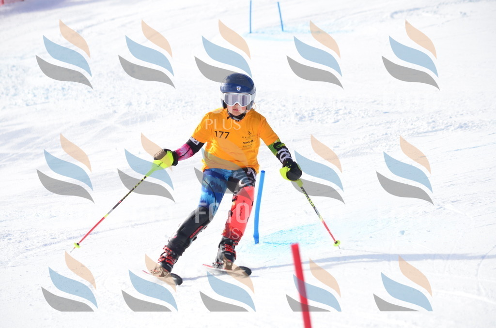 C7957 | holidayphoto