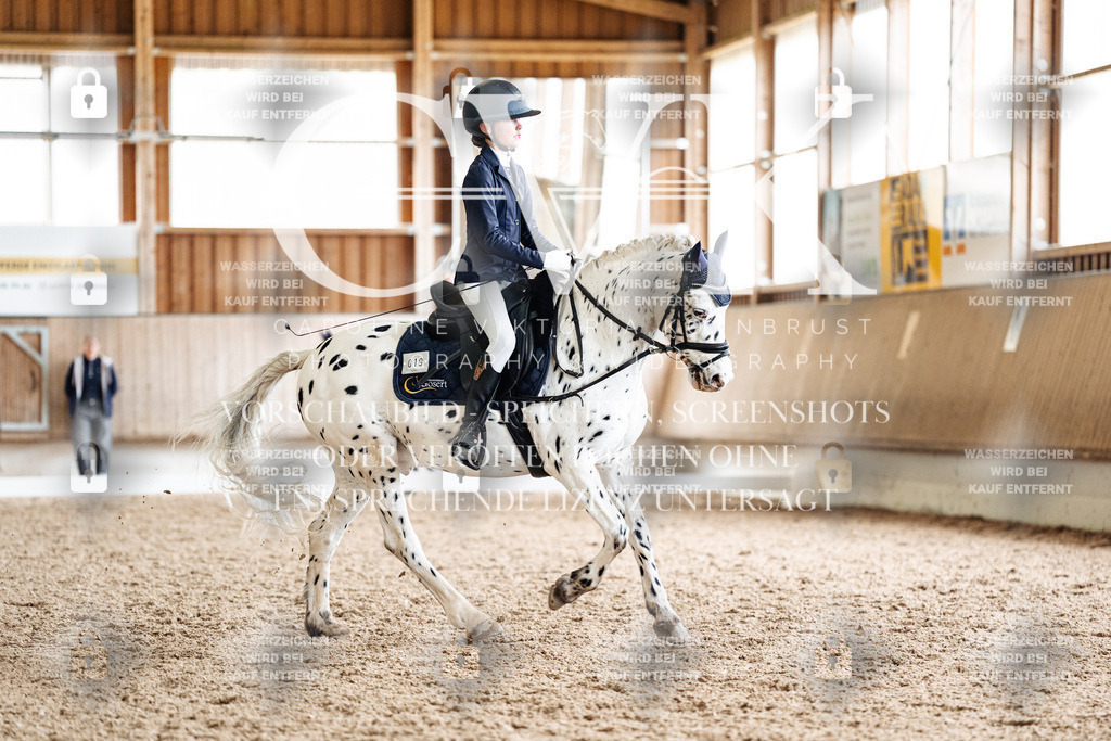 CK901420 | Turnierfotografie Pferdefotografie Trier Rheinland-Pfalz Pferdesport Reitsport Tierfotografie Sportfotografie Pferdevideo Pferdevideografie Equestrianvideography equestrianphotography  - Realisiert mit Pictrs.com