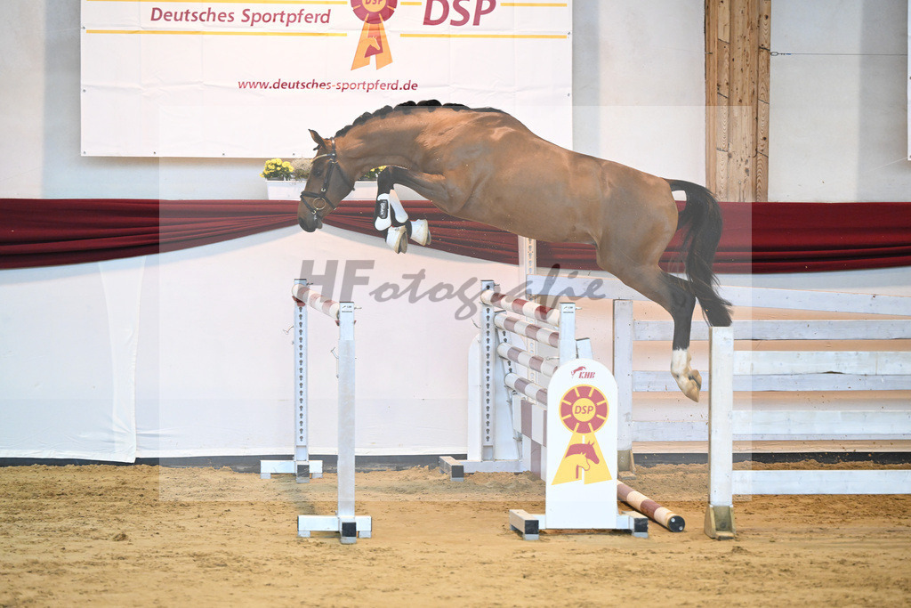 Kat-Nr. 62 v. Asti Spumante_Muehlbauer_66221409 | hf-fotografie - Realisiert mit Pictrs.com