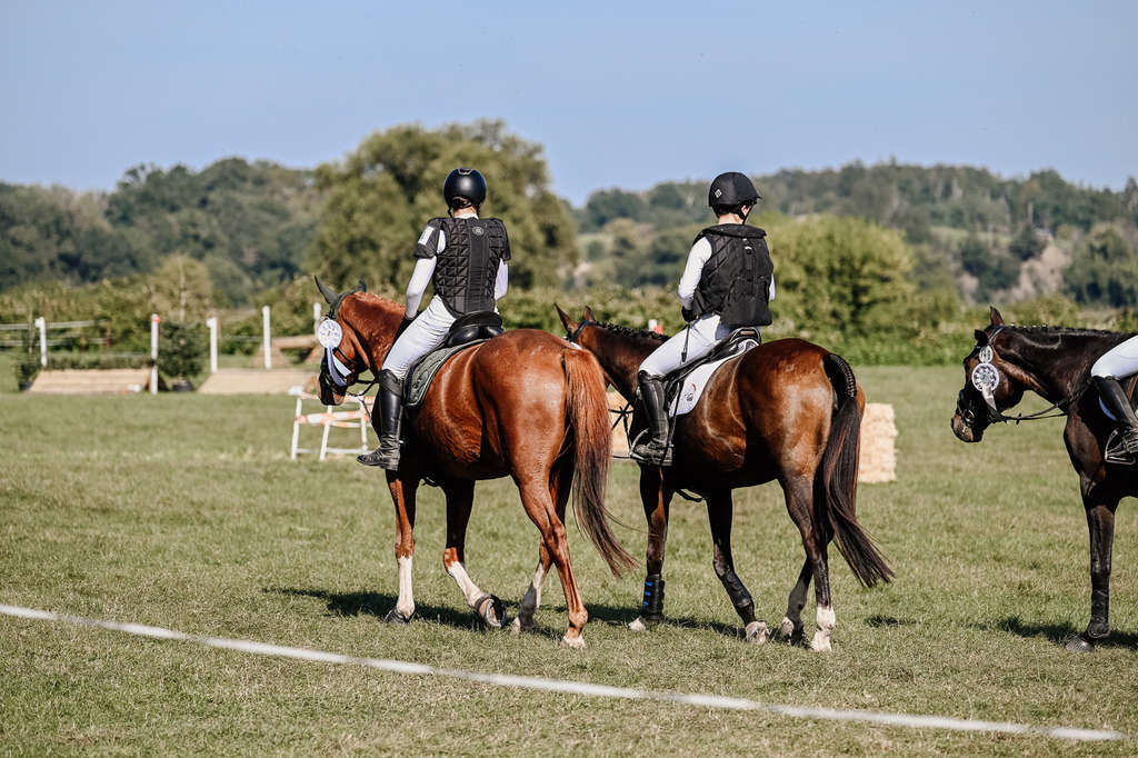 DSC_3708 | Pferde- und Turnierfotografie in Westsachsen. Pferdeportraits, Auftragszeichnungen und intuitive Kunst.