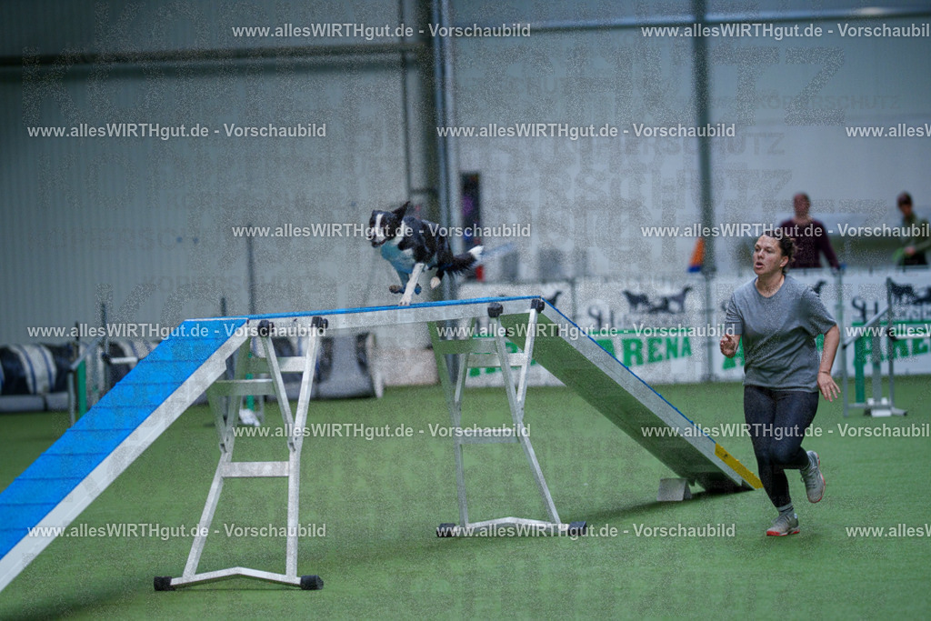 @allesWIRTHgut_Tierfotografie - www.allesWIRTHgut.de - 2604260928-7R507841 | Professionelle Tierfotografie in Mönchengladbach von Daniel Wirth (allesWIRTHgut). Liebevolle & natürliche Bilder von Hunden & Katzen für unvergessliche Erinnerungen.