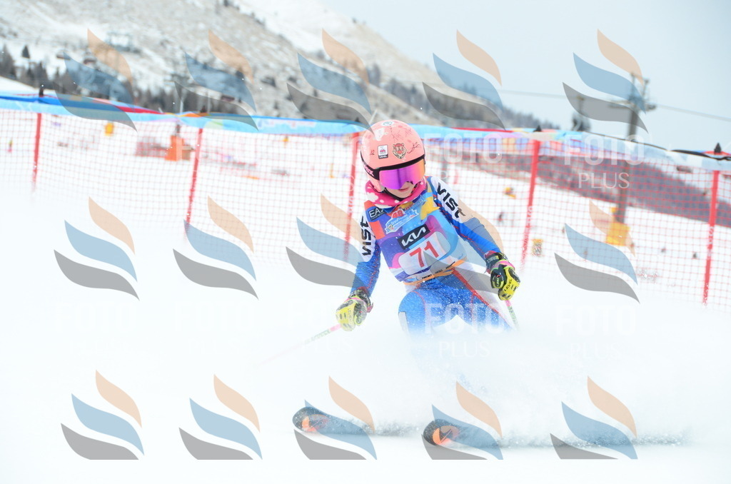 DSC_1071 | holidayphoto