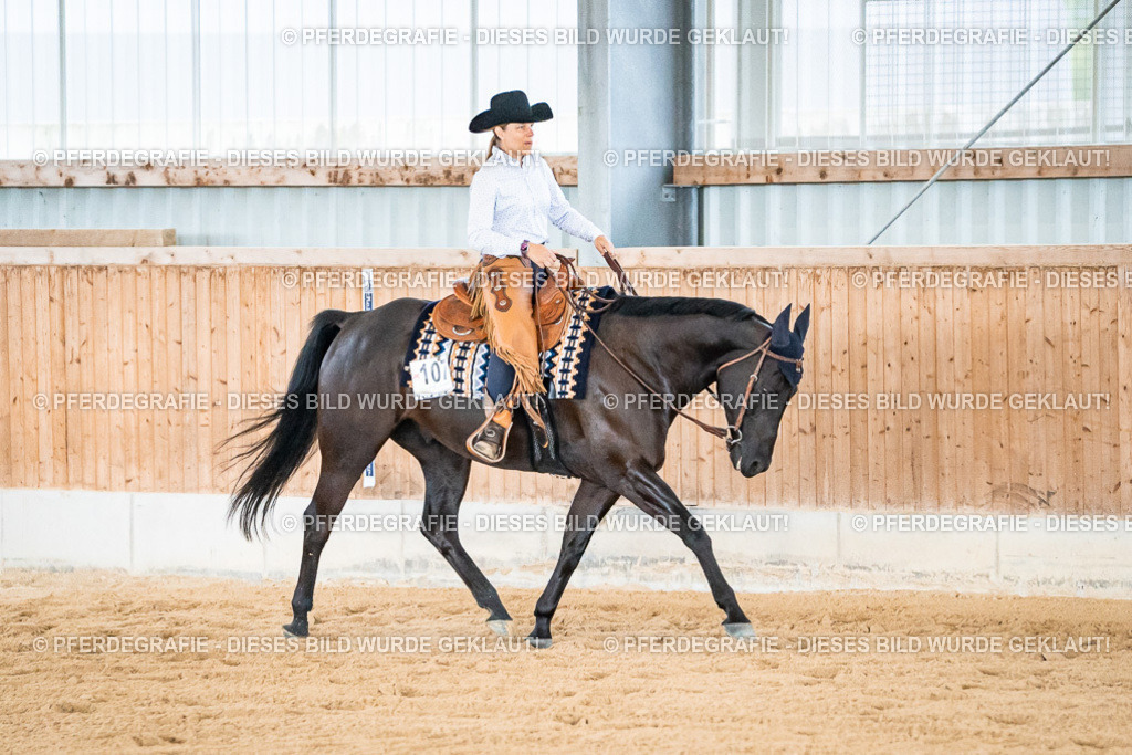 DSC00073 | Pferdegrafie