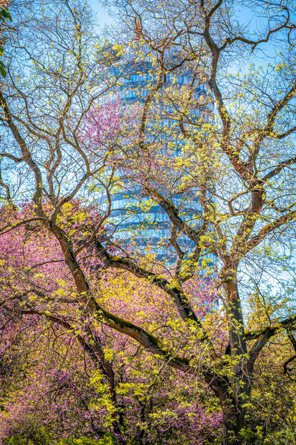 2025-05-01_11-50-37_730 | Jentower hinter blühenden Bäumen, blauer Himmel deutet auf Frühling, Jena, Thüringen, Deutschland - Realisiert mit Pictrs.com