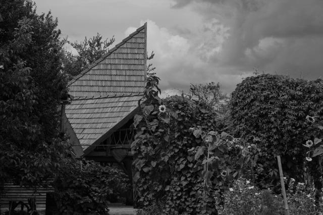 _DSF0446-OzoraPt8 | blende43