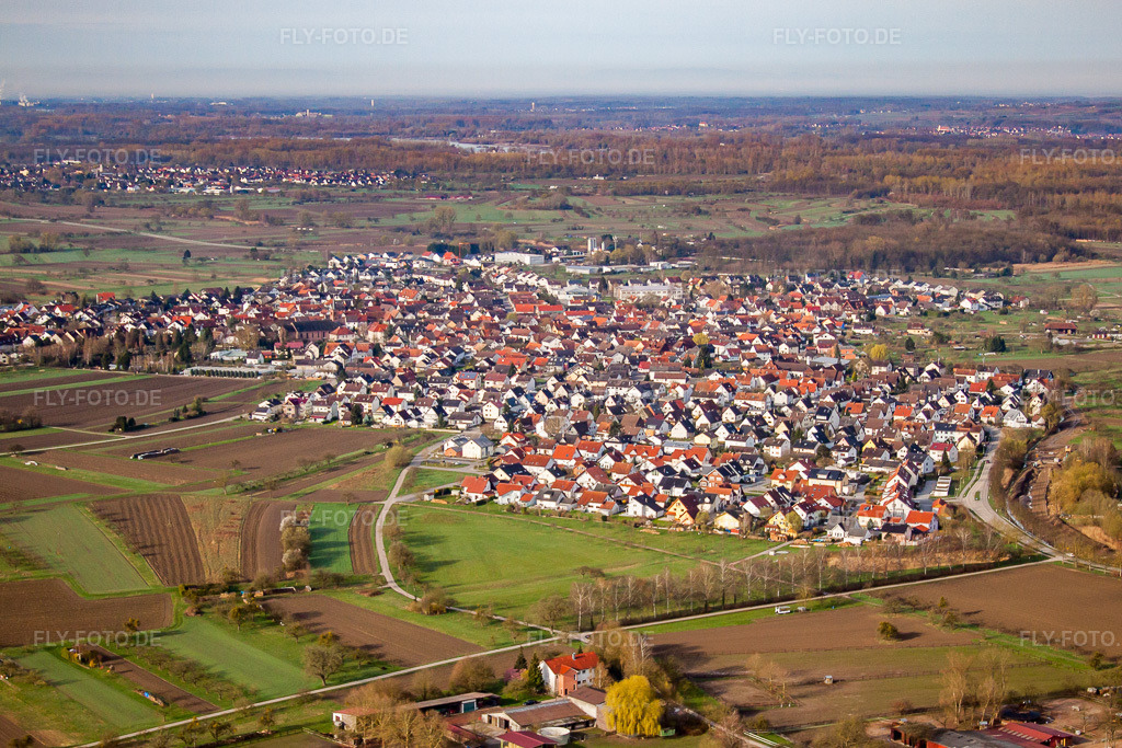 Luftbild: Ortsansicht von Nordosten in Au am Rhein im Bundesland Baden-Württemberg in Deutschland. Foto: IMG_25529.jpg vom 02.04.2010 durch Werner Riehm/FLY-FOTO.de