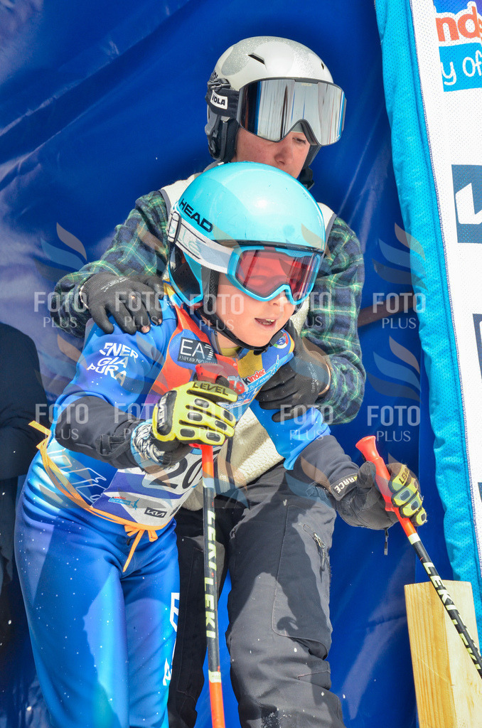 _ELE7002 | holidayphoto