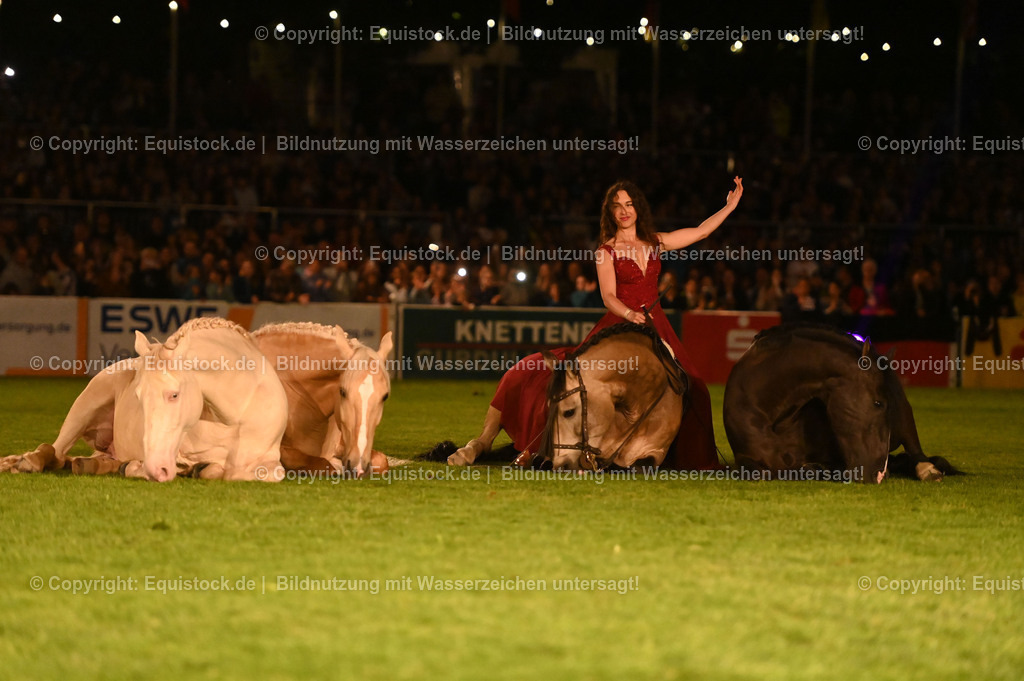 20230526_Pferdenacht_1533 | equistock