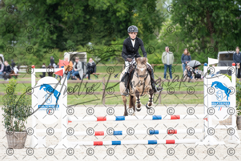 KPT_6268 | andre_photographic