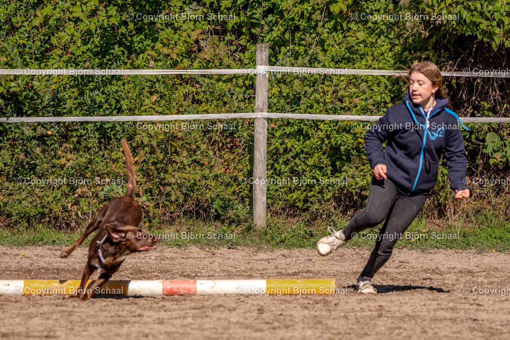 SAL02810 | BS-foto
