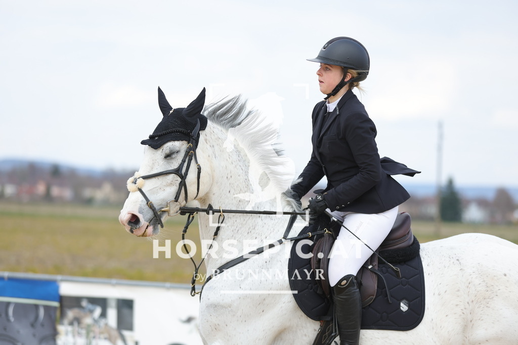 0P6A8120 | Willkommen bei Brunnmayr - Design & Fotografie – Ihrem Spezialisten für Reitturniere und Pferdeveranstaltungen in Oberösterreich, Salzburg und Bayern! Seit über 17 Jahren sind wir leidenschaftlich dabei.
