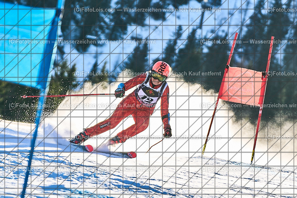 ALP1505_FIS-MastersCup_Reiteralm_Giant-SL_Pirker Brigitte | FIS-MastersCup GIANT-SLALOM auf der Reiteralm in Pichl, Sa 18. Jänner 2025.