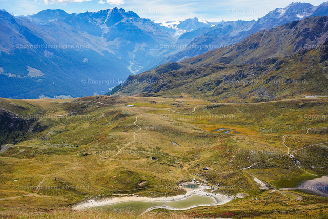 valis_ | Fotografie Photography Dresden Photoshooting  Fotoshooting Fotografin Dresdencity Bilder  Foto Dresdenvideos Kalender Postkarten Bilderdownload Portrait Hochzeitsfotografie Familienfotos Bewerbungsbilder Studiofotografie Fotograf Dresdenbilder Business - Realisiert mit Pictrs.com