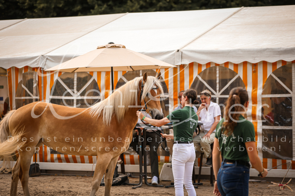 06.So00097 | Leoni Ertmer Photography - Realisiert mit Pictrs.com