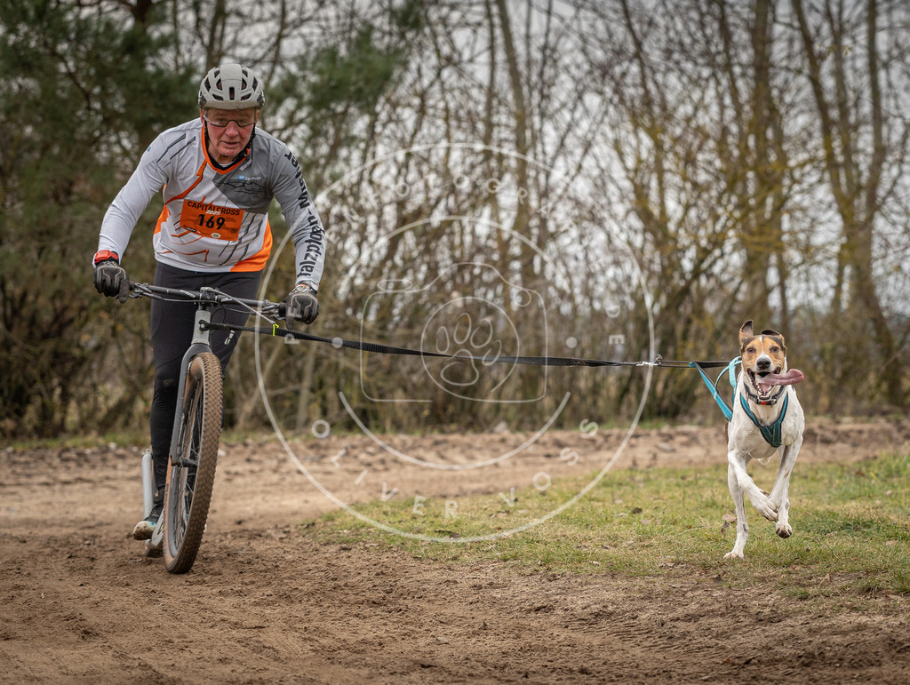 Pfotenfotografie_DV3A9761 | Hundefotografie, Tierfotograf, Pfotenfotografie, Fotoshooting Hund, Hunde Portrait, Hundesport, Hundeportraits, Heideshooting, Hunde, Sportfotograf, Hundefotograf, Turnierhundsport, THS,  - Realisiert mit Pictrs.com