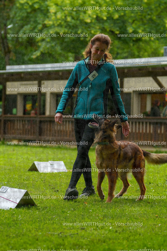 @allesWIRTHgut_Tierfotografie - www.allesWIRTHgut.de - 102207-7R508413 | Professionelle Tierfotografie in Mönchengladbach von Daniel Wirth (allesWIRTHgut). Liebevolle & natürliche Bilder von Hunden & Katzen für unvergessliche Erinnerungen.