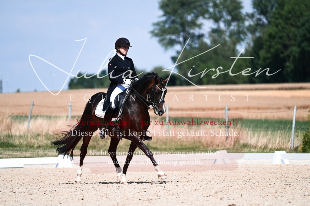 DSC_2929 | Pferde- und Turnierfotografie in Westsachsen. Pferdeportraits, Auftragszeichnungen und intuitive Kunst.