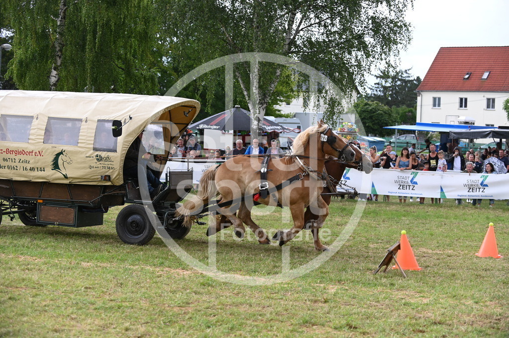 DSC_8703 | sattelsport - Realisiert mit Pictrs.com