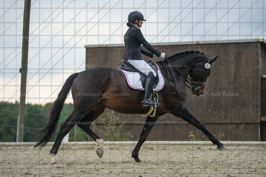20230826-FAH06314 | Forstinning, 2023, Dressurturnier, Turniersportbilder, Turnierfotografen Bayern, Fotoagentur Herrmann, Reitsportfotografie, Turnierbilder