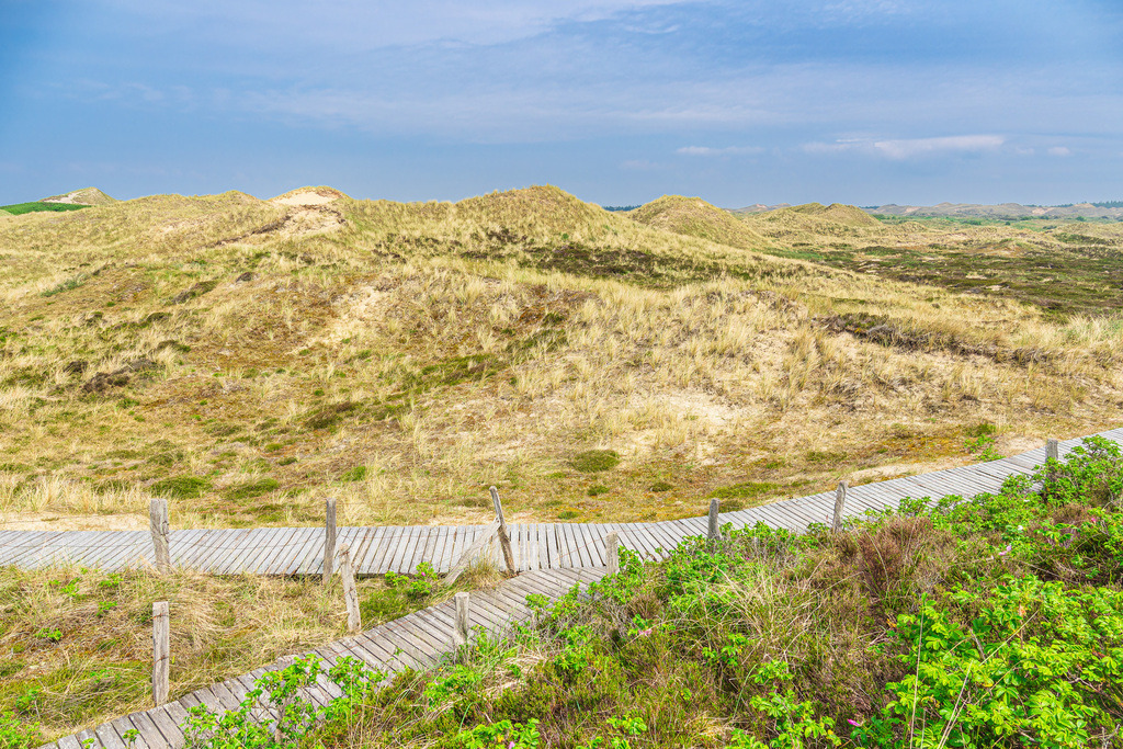 Landschaft in den Dünen bei Norddorf auf der Insel Amrum | Landschaft in den Dünen bei Norddorf auf der Insel Amrum.