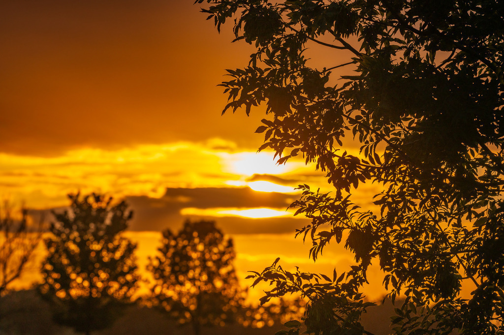 2023_08_04_HETLINGER-SCHANZE_MCP0844 | Hochwertig gedruckte Fotografien für die Wand, als Kalender und zum Verschenken. Hamburg & Norddeutschland und überall wo ich mit der Kamera unterwegs war.