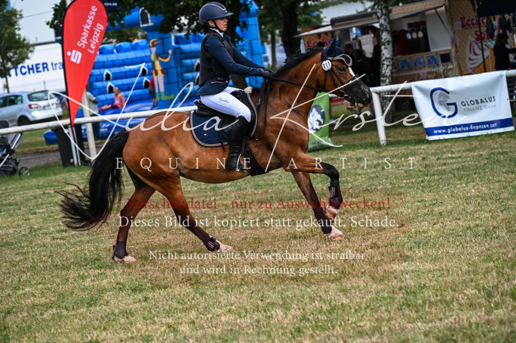 DSC_8213 | Pferde- und Turnierfotografie in Westsachsen. Pferdeportraits, Auftragszeichnungen und intuitive Kunst.