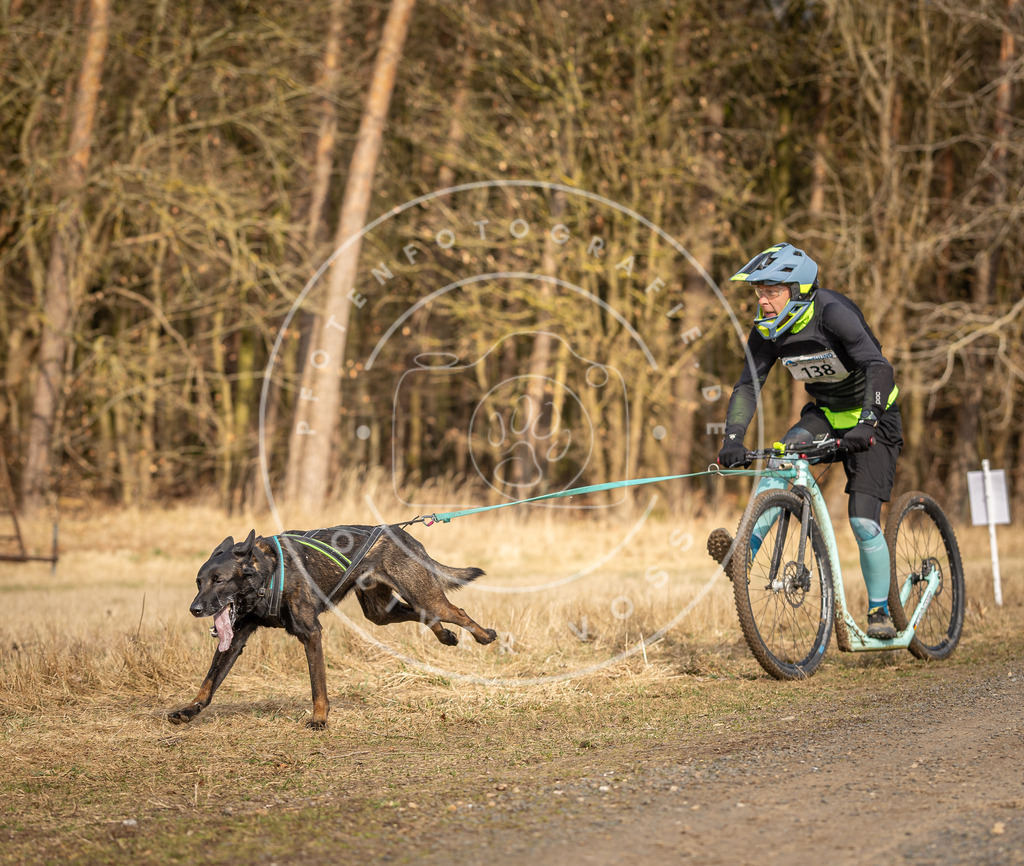 DV3A4719 | Hundefotografie, Tierfotograf, Pfotenfotografie, Fotoshooting Hund, Hunde Portrait, Hundesport, Hundeportraits, Heideshooting, Hunde, Sportfotograf, Hundefotograf, Turnierhundsport, THS,  - Realisiert mit Pictrs.com