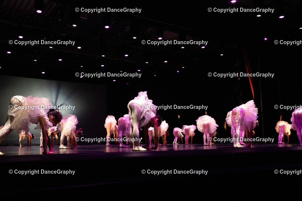 GPHY4433 | DanceGraphy - Realisiert mit Pictrs.com