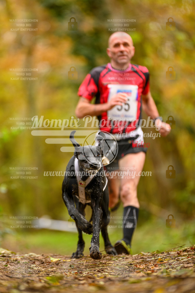 MompixPhotography_Bischwiller24_SA_Canicross-4 | MompixPhotography