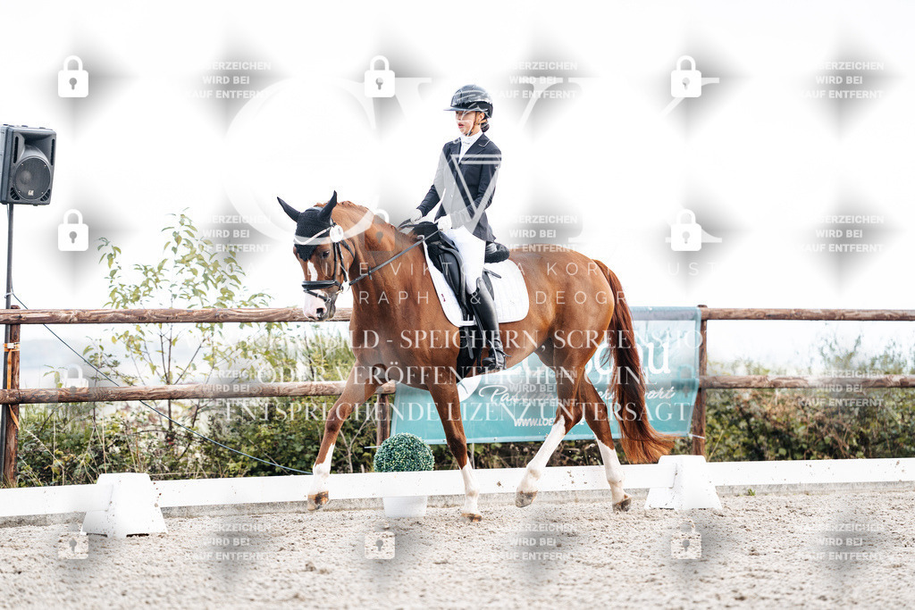 CK900714 | Turnierfotografie Pferdefotografie Trier Rheinland-Pfalz Pferdesport Reitsport Tierfotografie Sportfotografie Pferdevideo Pferdevideografie Equestrianvideography equestrianphotography  - Realisiert mit Pictrs.com