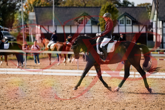 2026_10_03_Siefer-Hof_133639_Z63_97353942 | Professionelle Reitsport-, Turnier- und Eventfotografie von Robert Broda. Galerien mit ausgewählten und bearbeiteten Bildern direkt online ansehen und bestellen.