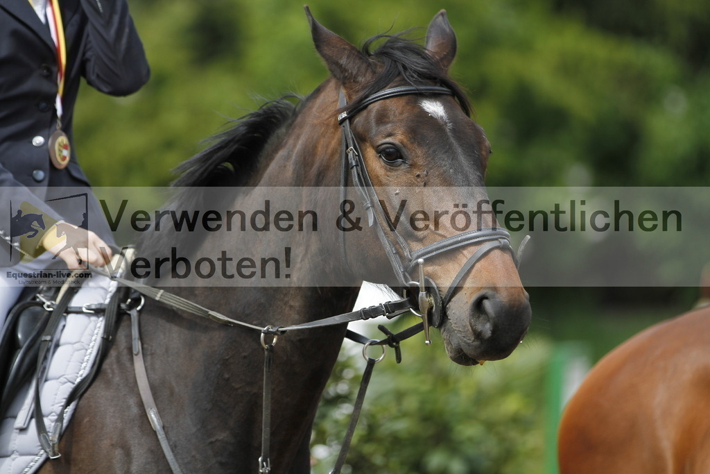 _MG_2598 | equestrian-live-com