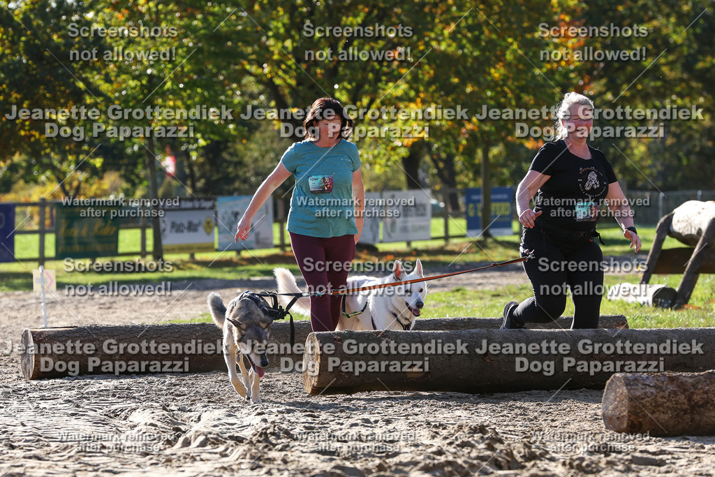 Dog Paparazzi - Strongdog 10-25-6045 | Dog Paparazzi Jeanette Grottendiek Fotografie & Videografie - Realisiert mit Pictrs.com