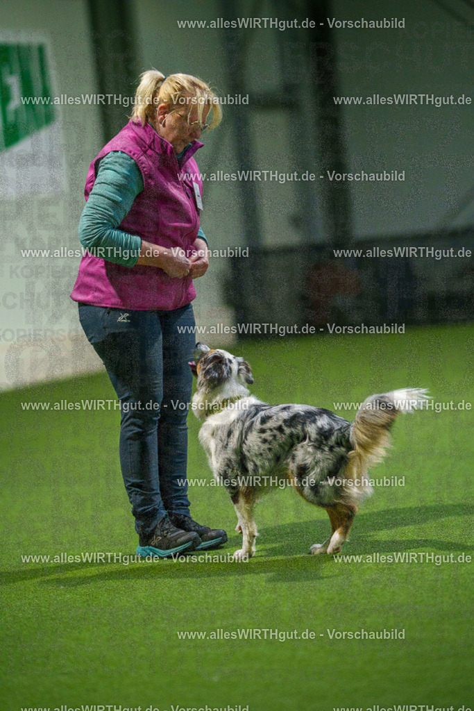 7R509583 | Professionelle Tierfotografie in Mönchengladbach von Daniel Wirth (allesWIRTHgut). Liebevolle & natürliche Bilder von Hunden & Katzen für unvergessliche Erinnerungen.