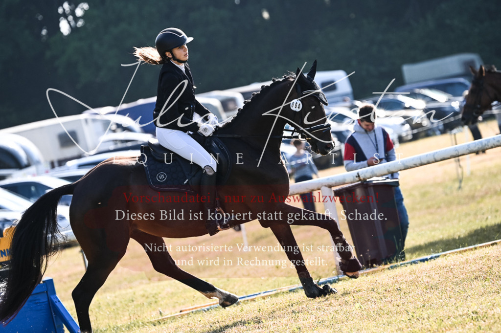 DSC_7584 | Pferde- und Turnierfotografie in Westsachsen. Pferdeportraits, Auftragszeichnungen und intuitive Kunst.
