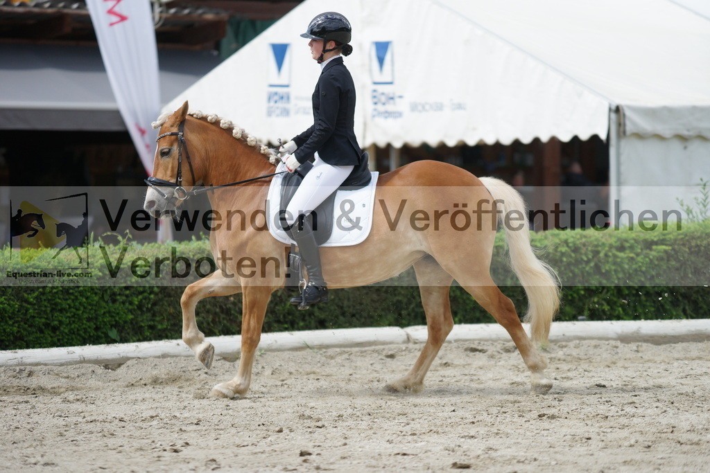 DSC05411 | equestrian-live-com