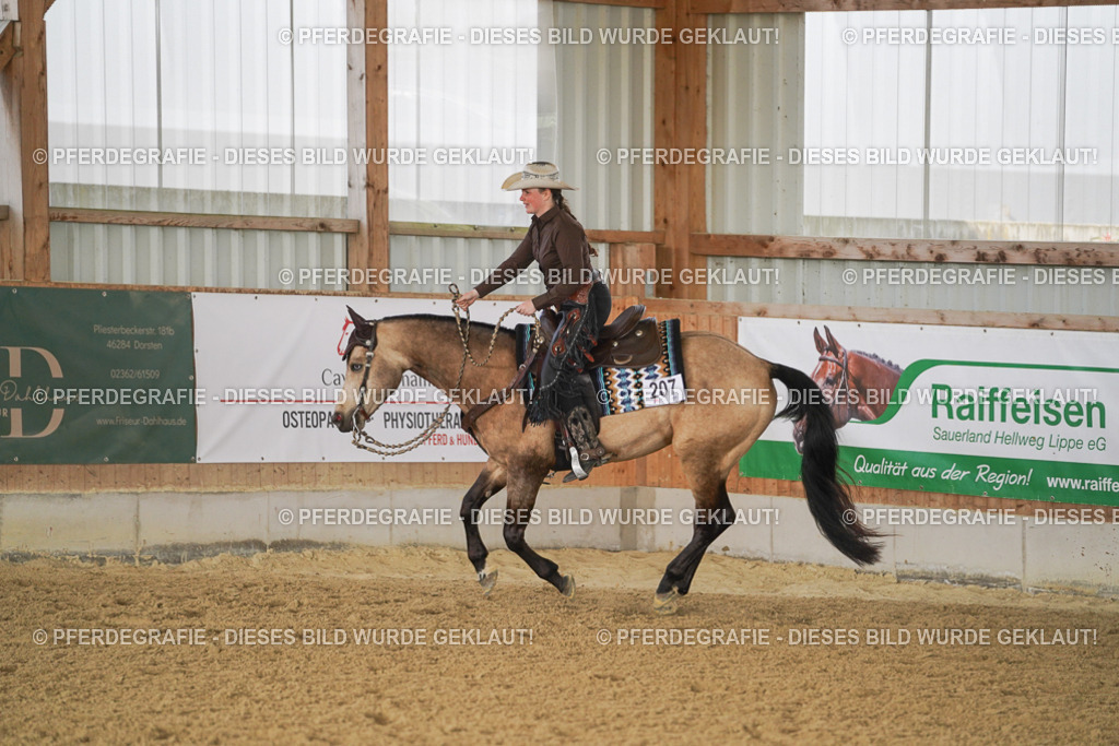 DSC00186 | Pferdegrafie