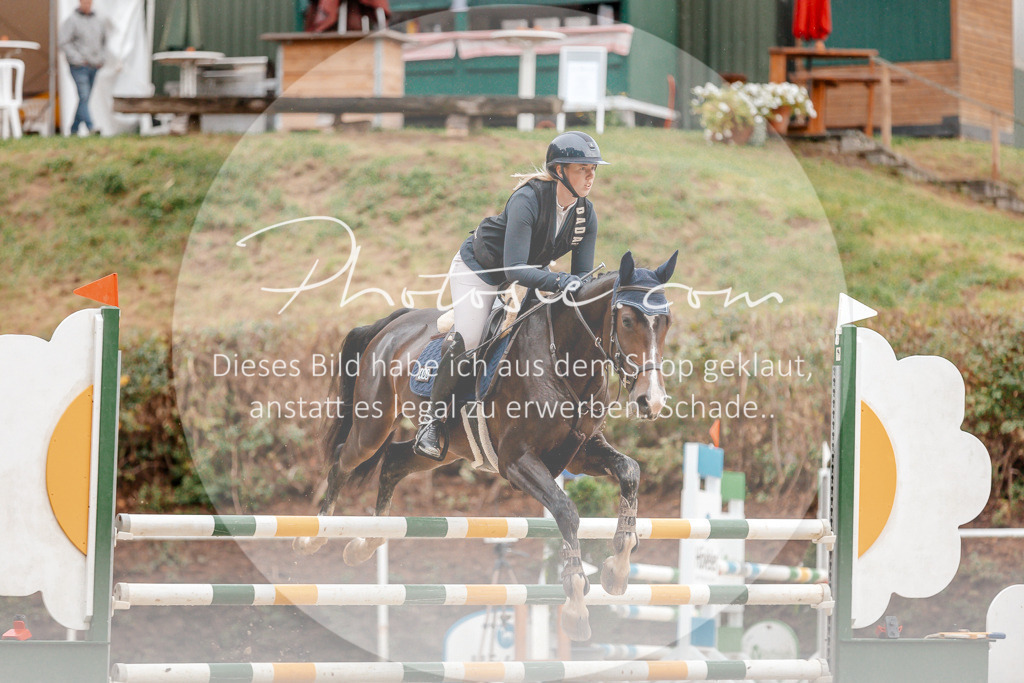 3I6A5582 | Stimmungsvolle Portraits und Reitsportfotografie im Ruhrgebiet und im Münsterland.

Pferdefotografie, Hundefotografie, Tierfotografie, Reportagen, Portraits von Tier und Mensch, Turnierfotografie in Bochum, Recklinghausen, Marl, Haltern am See, Dülmen.. - Realisiert mit Pictrs.com