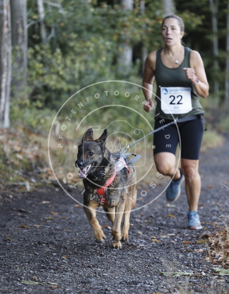 0L8A1491 | Hundefotografie, Tierfotograf, Pfotenfotografie, Fotoshooting Hund, Hunde Portrait, Hundesport, Hundeportraits, Heideshooting, Hunde, Sportfotograf, Hundefotograf, Turnierhundsport, THS,  - Realisiert mit Pictrs.com