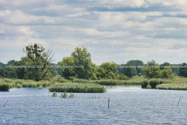 Oder-Flusslandschaft bei Stetin 016 | Fotokunstarbeit aus der MARITIM-Gallerie von titusgraphy,eu - Realisiert mit Pictrs.com