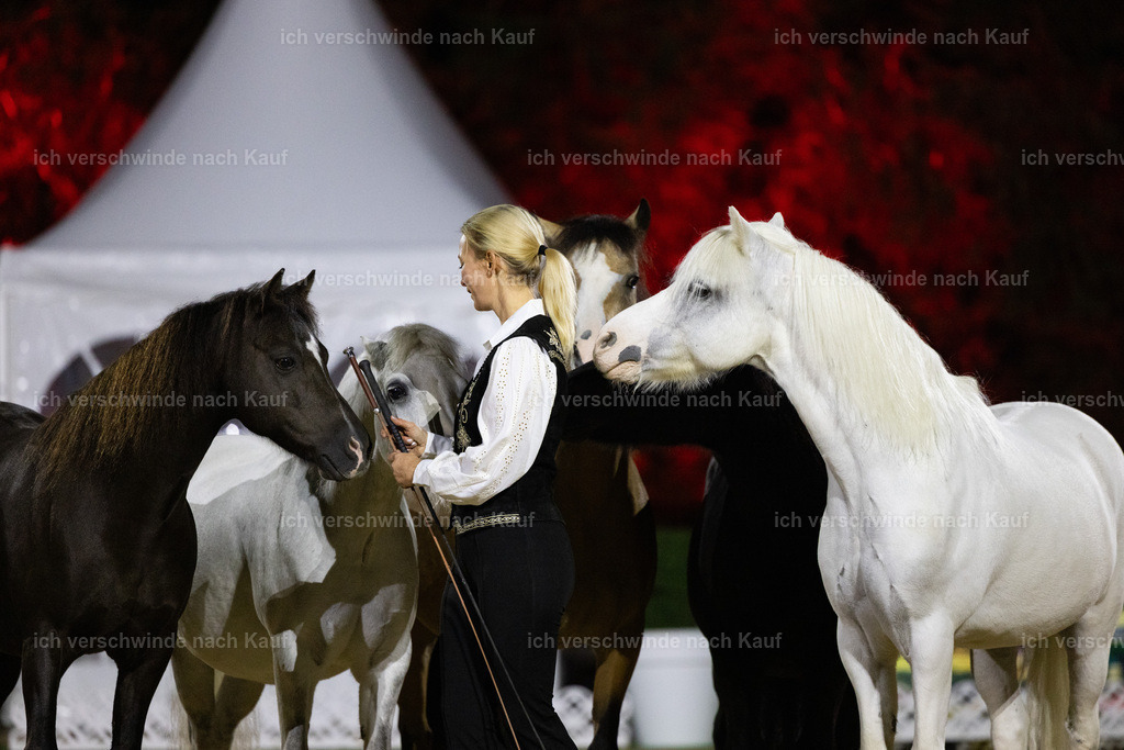 FHClassics-256 | working equitationturnier fotograf videograf stoibphotography marixx film working equitation deutschland reitsport turnierfotografie eventfotografie equestrian events