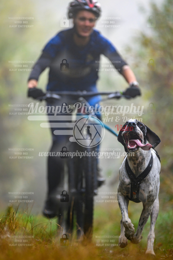 MompixPhotography_20TSB_E4_Bike-45 | PayLife
