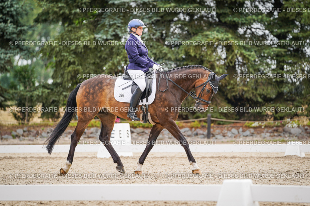 DSC02062 | Pferdegrafie