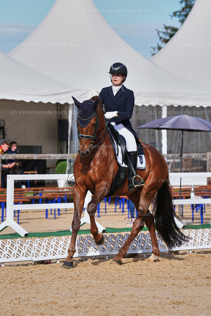 6-143-AMATUER-DRESSUR S_  -Marixx-3688 | working equitationturnier fotograf videograf stoibphotography marixx film working equitation deutschland reitsport turnierfotografie eventfotografie equestrian events