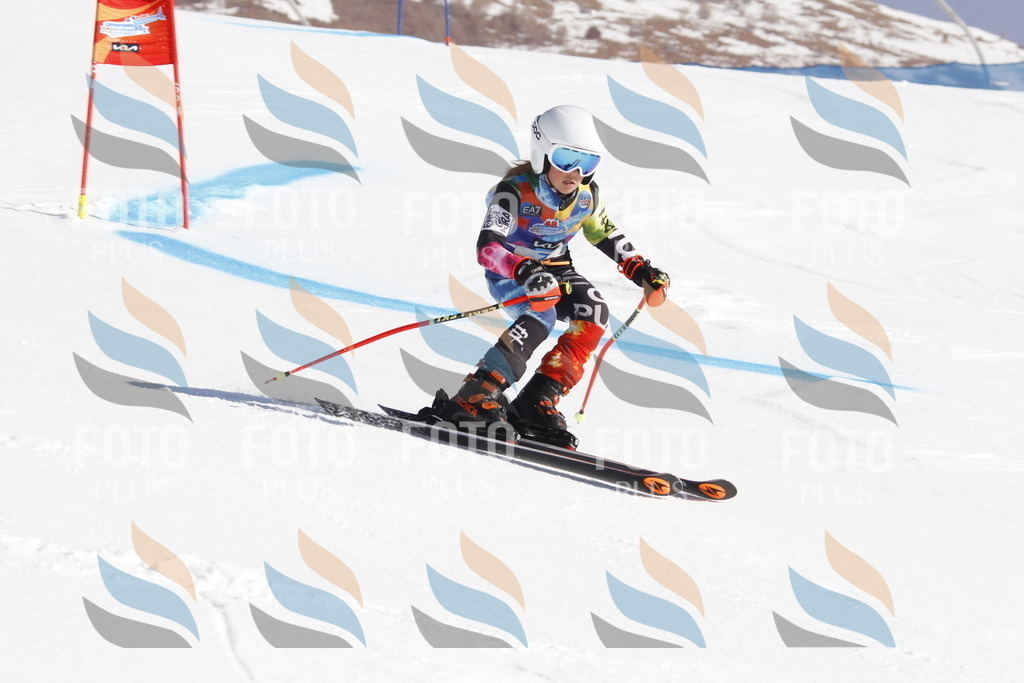 _U3G8615 | holidayphoto