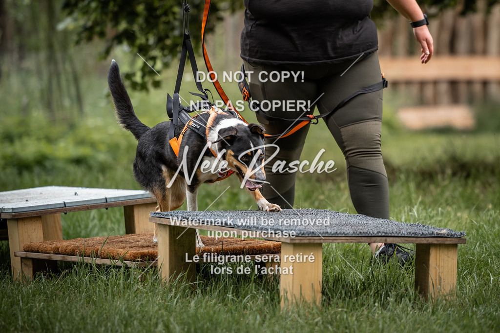 nelerasche_So-funtrail_255 | nelerasche