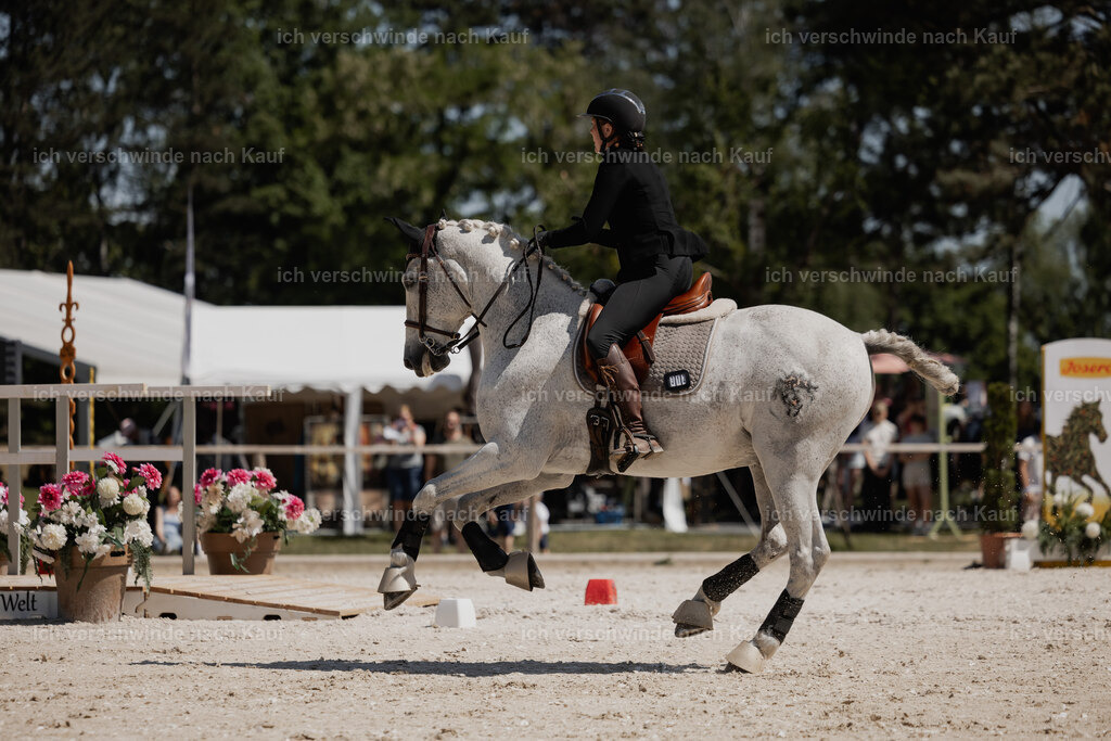 WE_SP_Stoib_312_PI2025_1646 | Pferd International München 2025