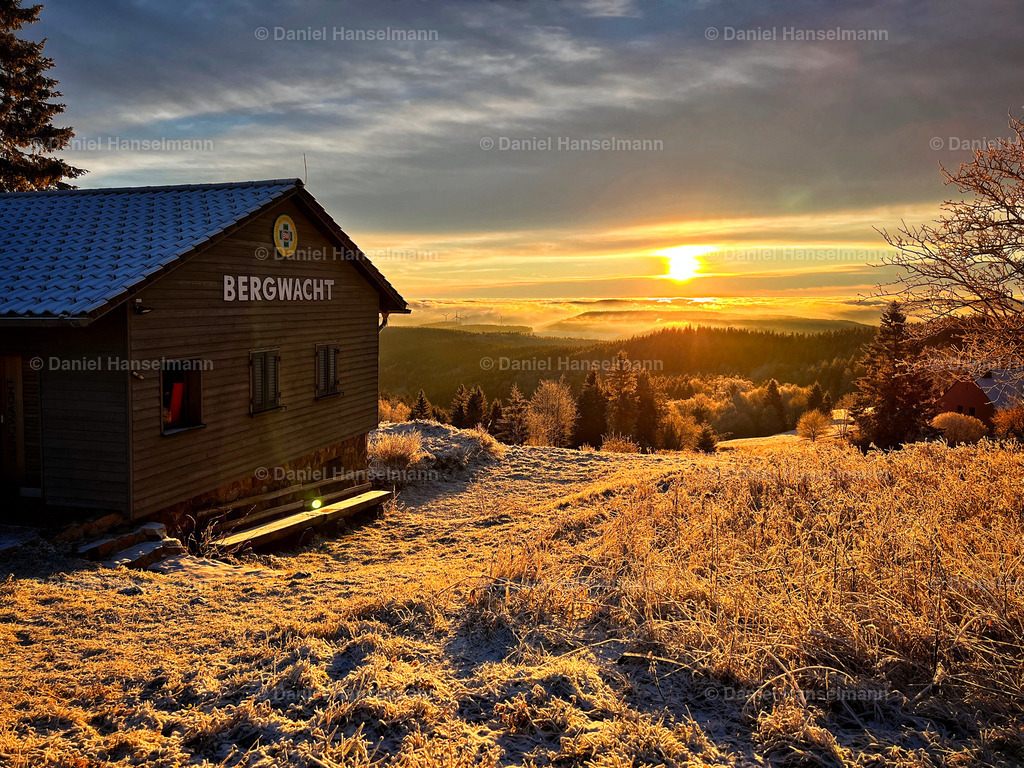B9EFCBD3-FEBA-4ABE-8AB4-136B8C0429EF | Hier finden Sie Poster, Leinwandfotos sowie viele weitere Fotoprodukte mit Motiven aus dem Schwarzwald, aus Freiburg und dem Kaiserstuhl zum Download und zum Bestellen.  - Realisiert mit Pictrs.com