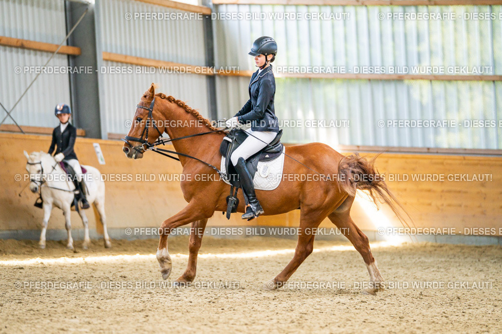 DSC03305 | Pferdegrafie